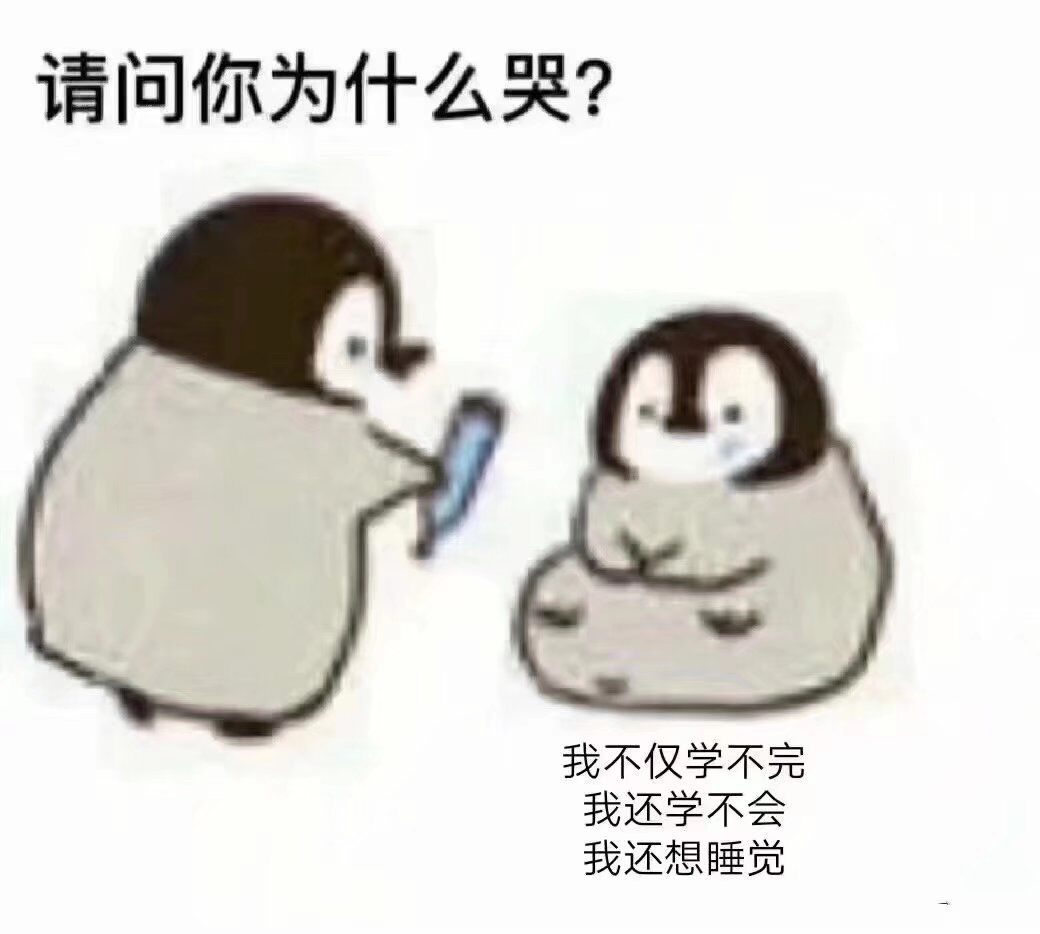 哭哭 图片找不到了