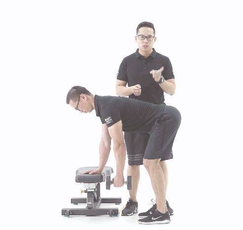 单臂哑铃划船动作示范